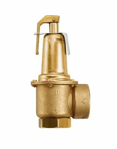 Buderus Kazan Emniyet Ventili - 1 1/2 '' - 6 bar (KB372 ve KB472 için)